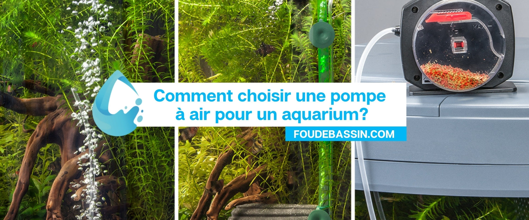 Comment choisir une pompe à air pour un aquarium?