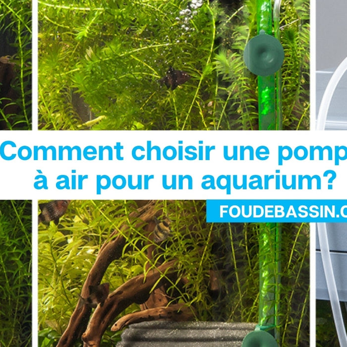 Comment choisir une pompe à air pour un aquarium?