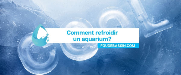 Hoe een aquarium koelen?