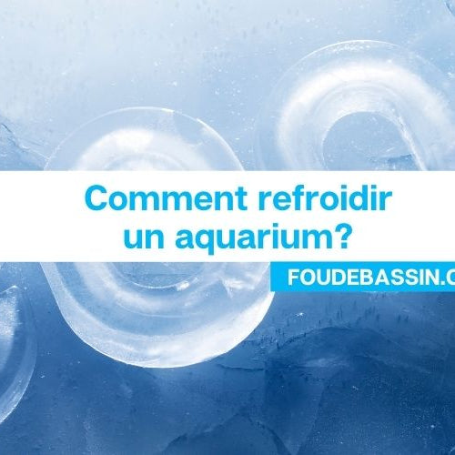 Comment refroidir un aquarium?