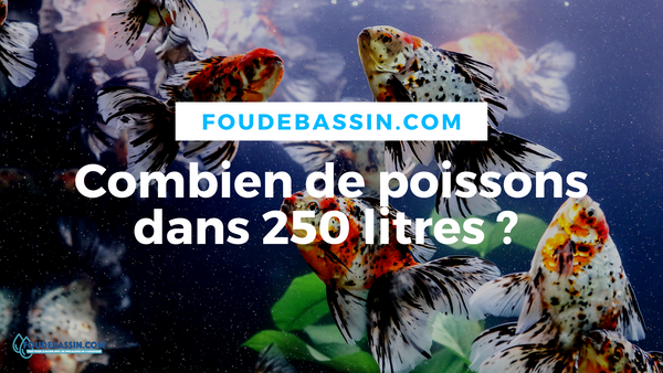 ¿Cuántos peces caben en un estanque de 250L?