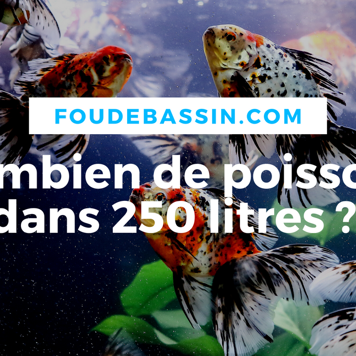 Combien de poissons dans un bassin de 250L?