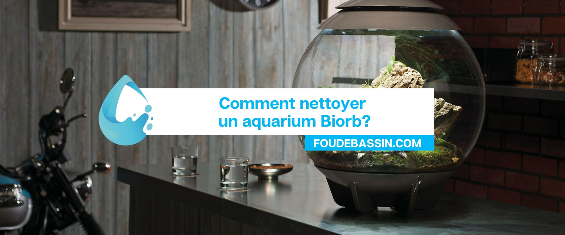 Comment nettoyer un aquarium Biorb?