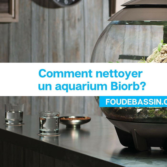 Comment nettoyer un aquarium Biorb?