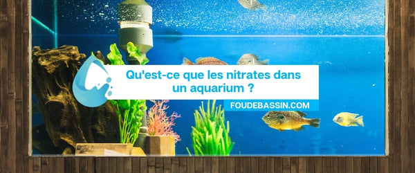 What are nitrates in an aquarium?