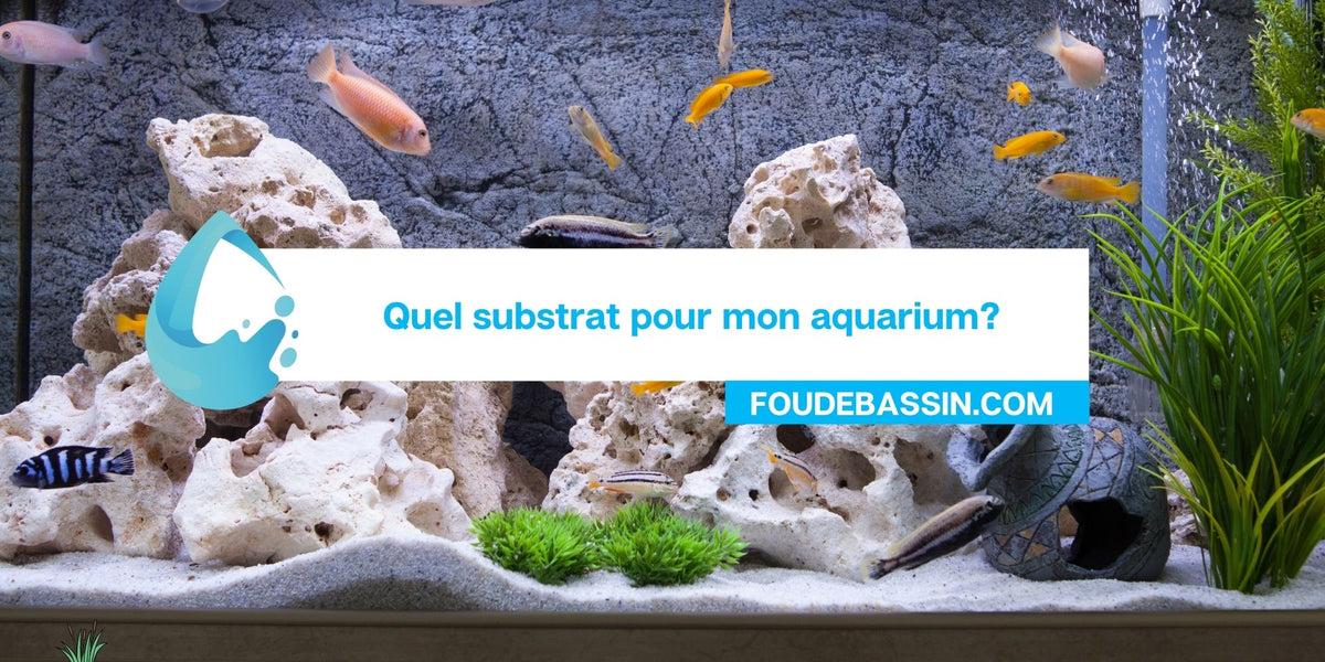 Quel substrat pour mon aquarium? —
