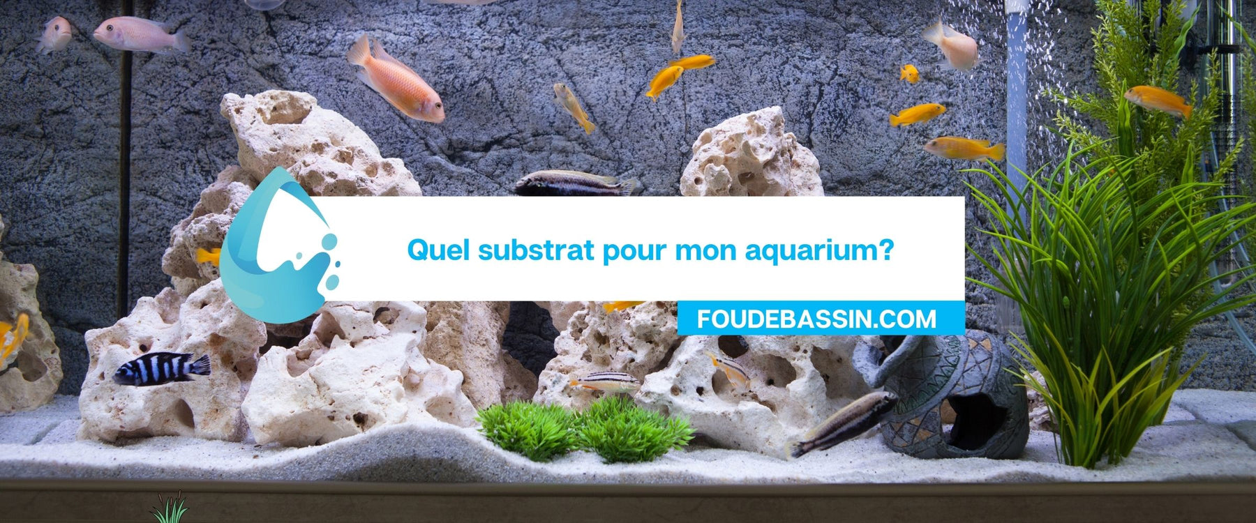 Quel substrat pour mon aquarium?