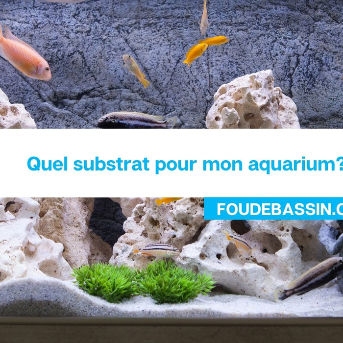 Quel substrat pour mon aquarium?