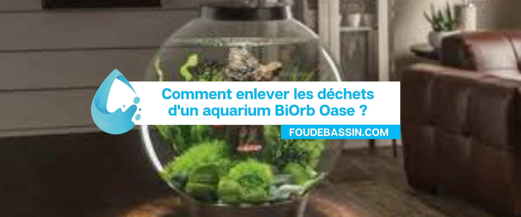 Comment enlever les déchets d'un aquarium BiOrb Oase ?