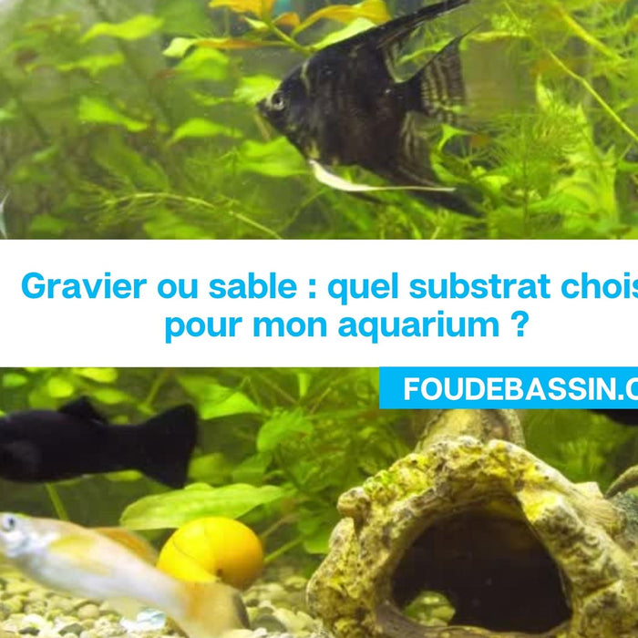 Gravier ou sable pour mon aquarium?