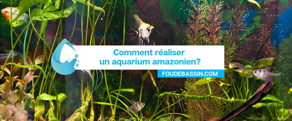 Comment réaliser un aquarium amazonien ?