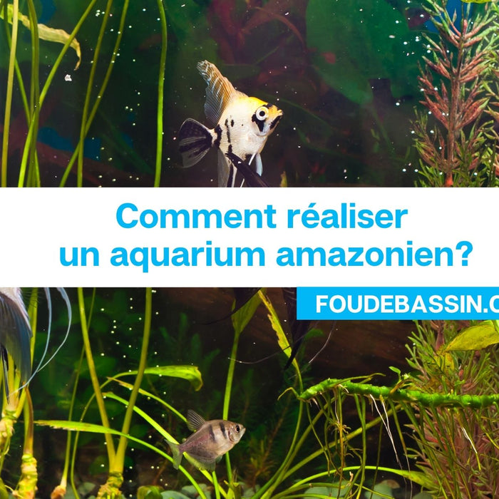 Comment réaliser un aquarium amazonien ?