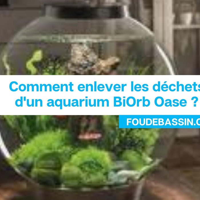 Comment enlever les déchets d'un aquarium BiOrb Oase ?