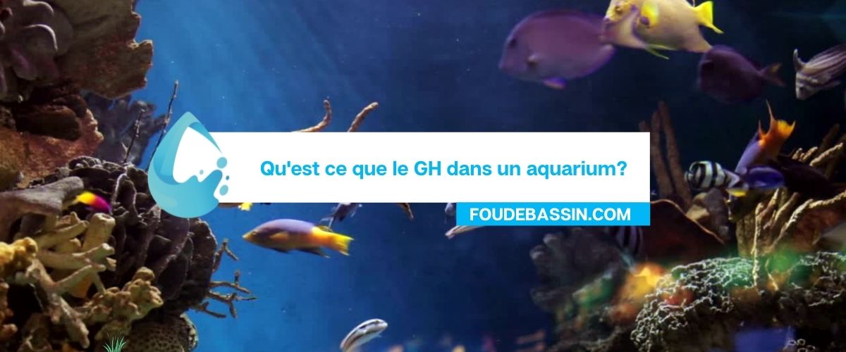 Qu'est ce que le GH dans un aquarium?