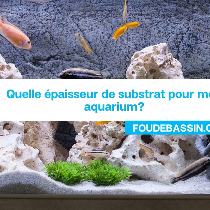Quelle épaisseur de substrat pour mon aquarium?