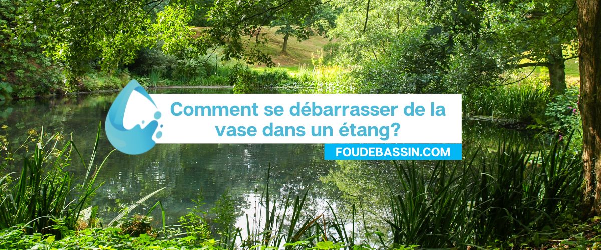 Comment se débarrasser de la vase dans un étang?