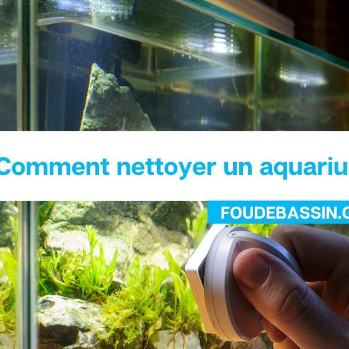 Comment nettoyer un aquarium?