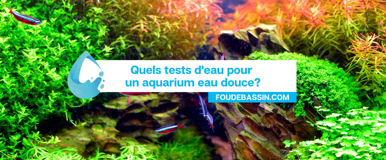 Quels tests d'eau pour un aquarium eau douce? — FOUDEBASSIN