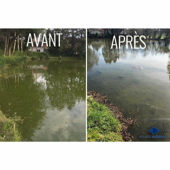 Les argiles pour étang : une approche naturelle pour améliorer durablement la qualité de l’eau