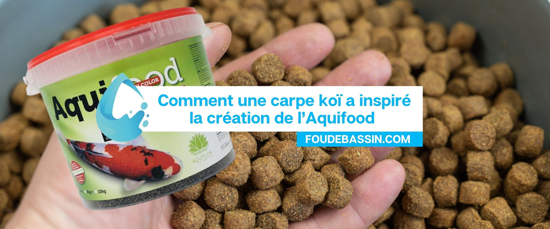 🌈 Sous l'Écaille de Nounours : Comment une Carpe Koï a Inspiré Aquifood, le Secret de Vitalité de Votre Bassin 🐠💦