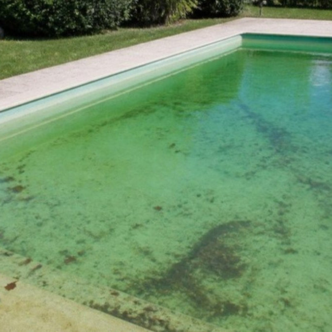 Piscine envasée avant aspiration de la boue – Foudebassin