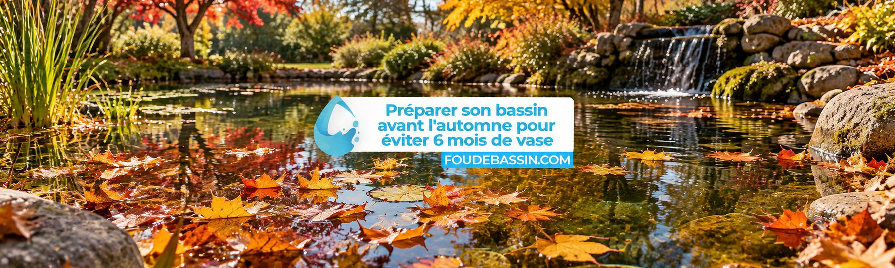 Comment préparer son bassin avant l'automne pour éviter 6 mois de vase