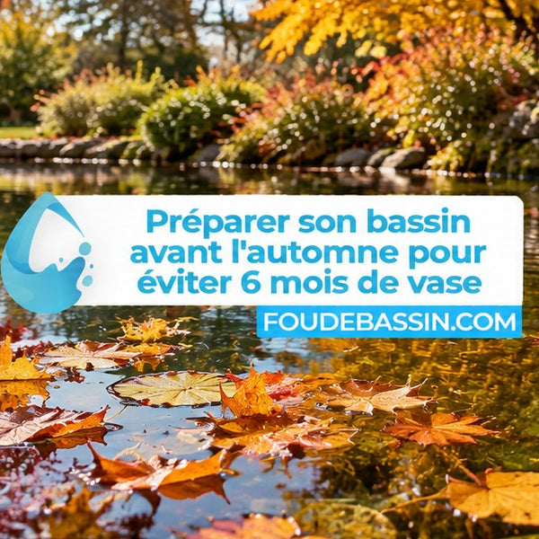 Comment préparer son bassin avant l'automne pour éviter 6 mois de vase