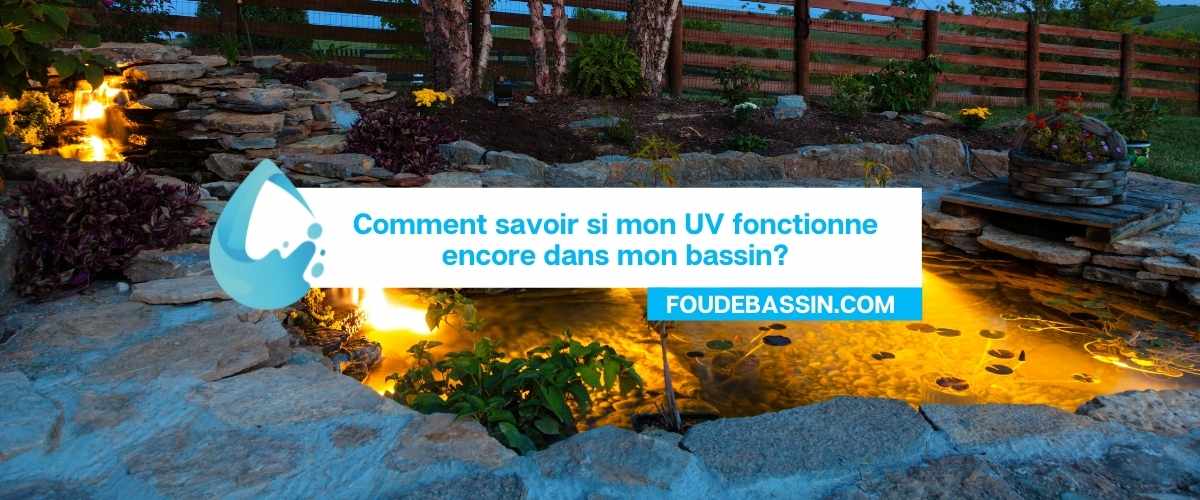 Comment savoir si mon UV fonctionne encore dans mon bassin?