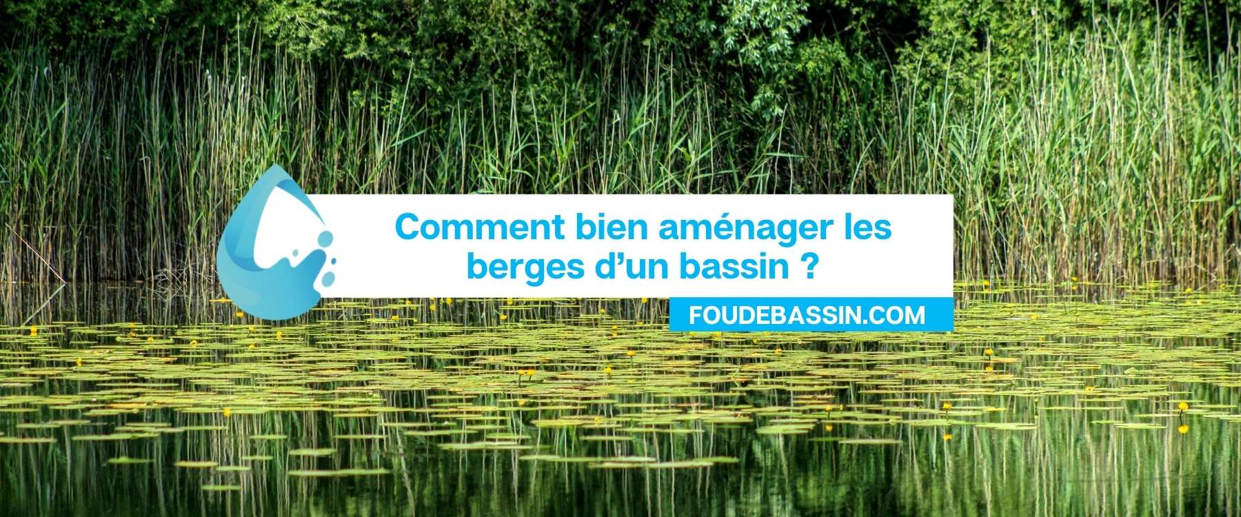 Comment bien aménager les berges d’un bassin?