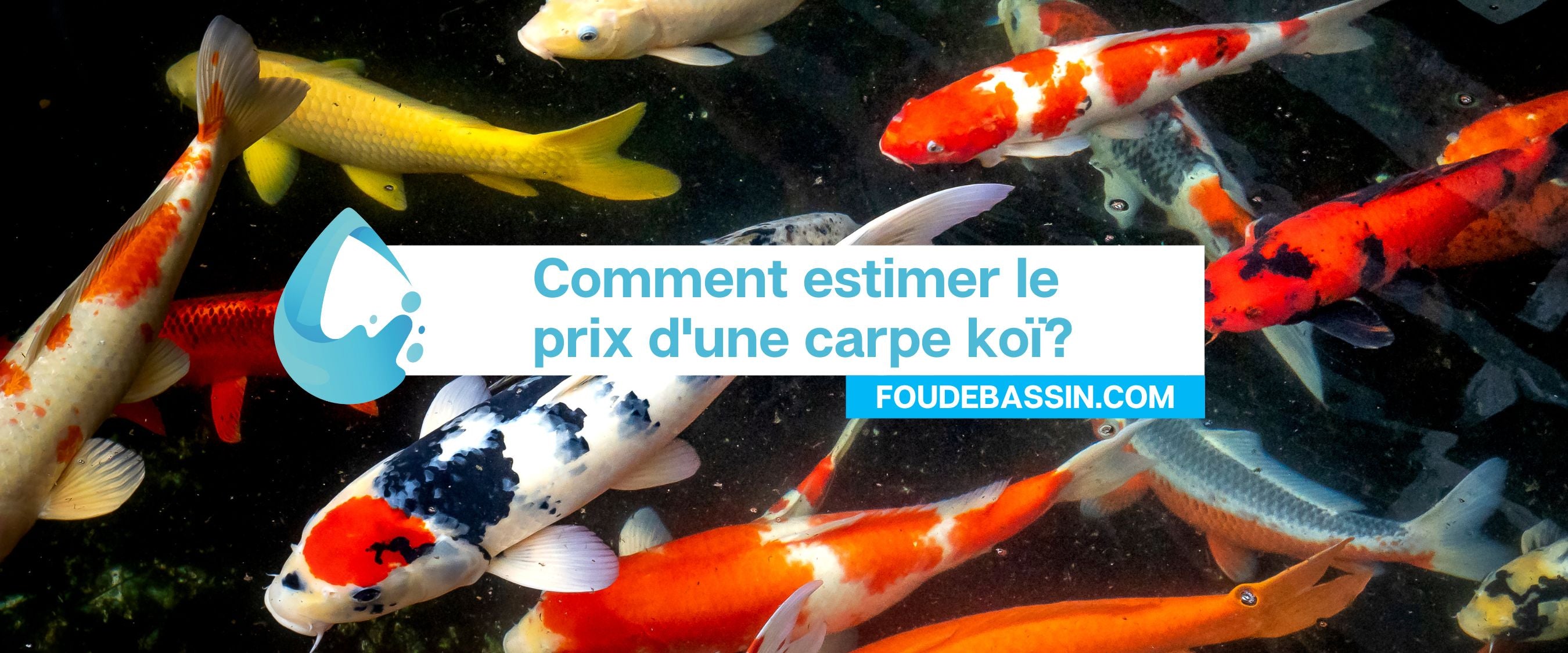 Comment estimer le prix d