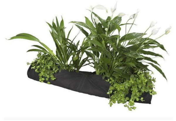 La chaussette de plantation, une solution idéale pour les bassins préformés