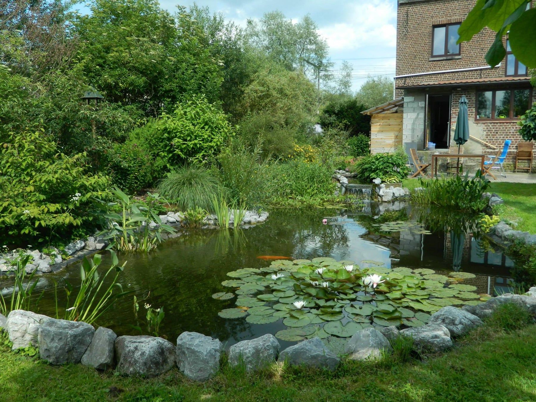Quelques idées originales pour construire un bassin de jardin