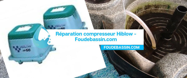 Reparación del compresor Hiblow - Foudebassin.com