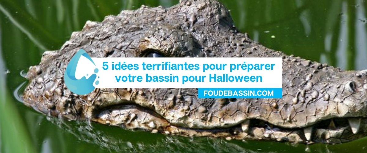 5 idées terrifiantes pour préparer votre bassin pour Halloween