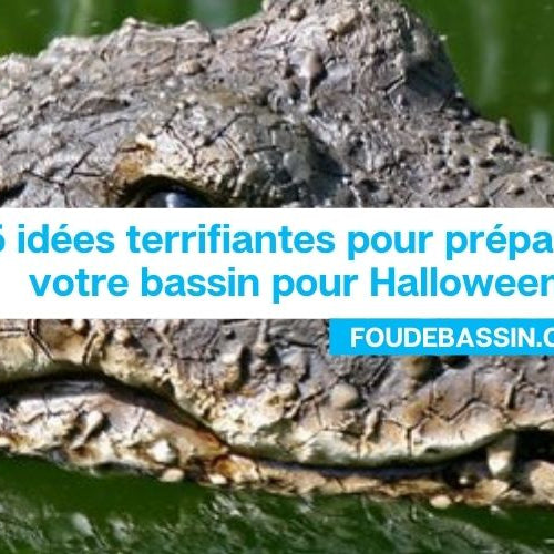 5 idées terrifiantes pour préparer votre bassin pour Halloween