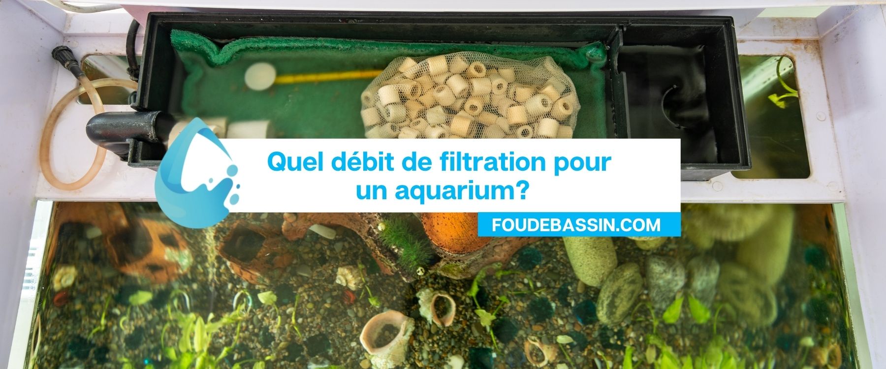 Quel débit de filtration pour un aquarium?