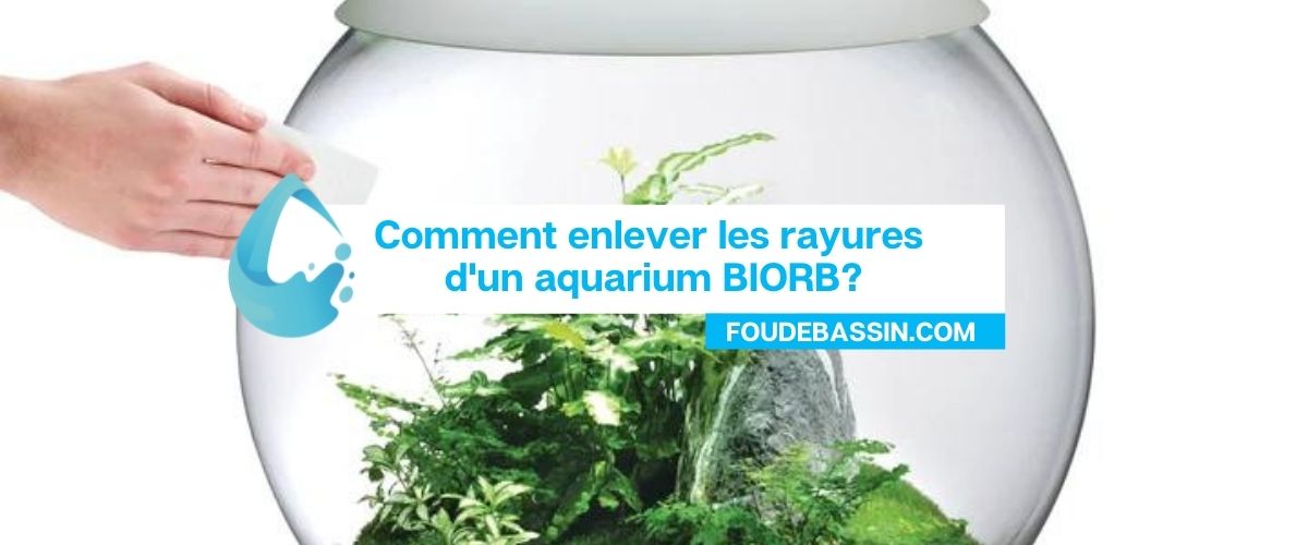 Comment enlever les rayures d'un aquarium BIORB?