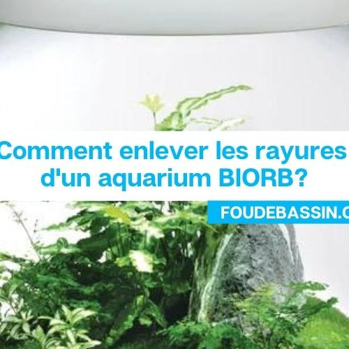 Comment enlever les rayures d'un aquarium BIORB?