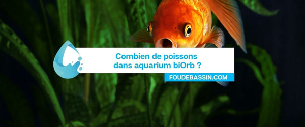 Combien de poissons dans un aquarium biOrb ?