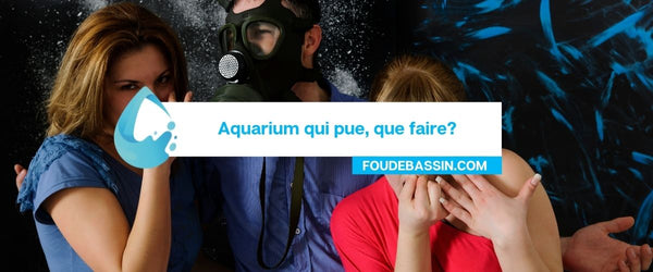 Stinkend aquarium, wat te doen?
