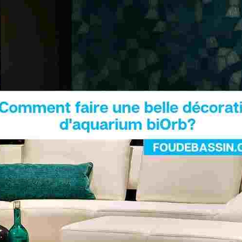 Comment faire une belle décoration d'aquarium biOrb?
