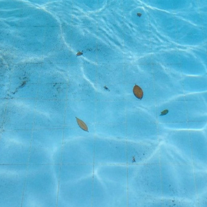 Dépôts au fond d'une piscine – Foudebassin