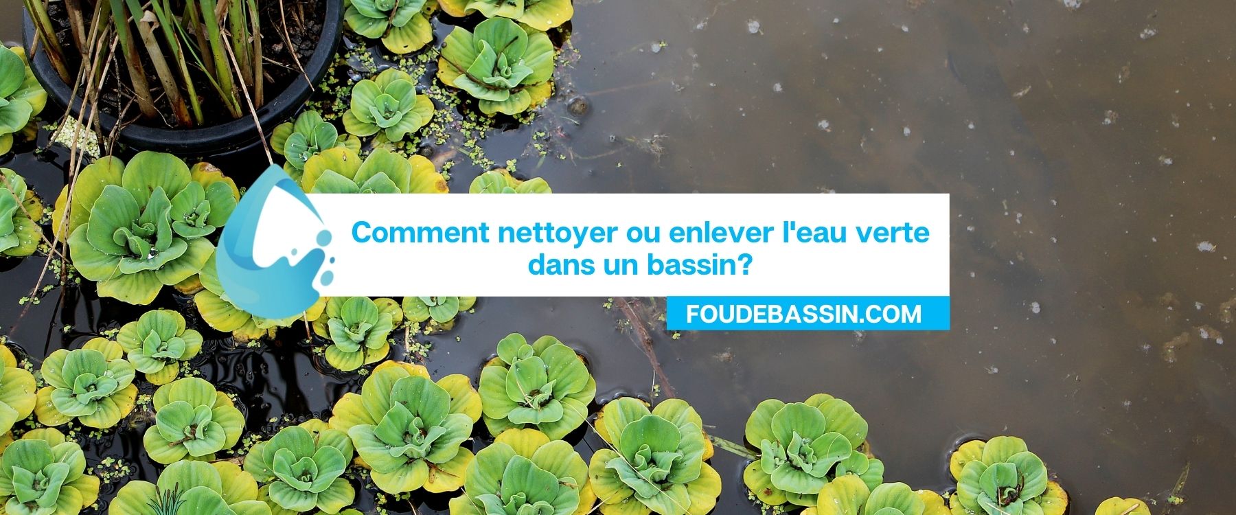 Comment nettoyer ou enlever l'eau verte dans un bassin?