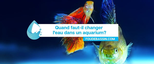 When should the water in an aquarium be changed?