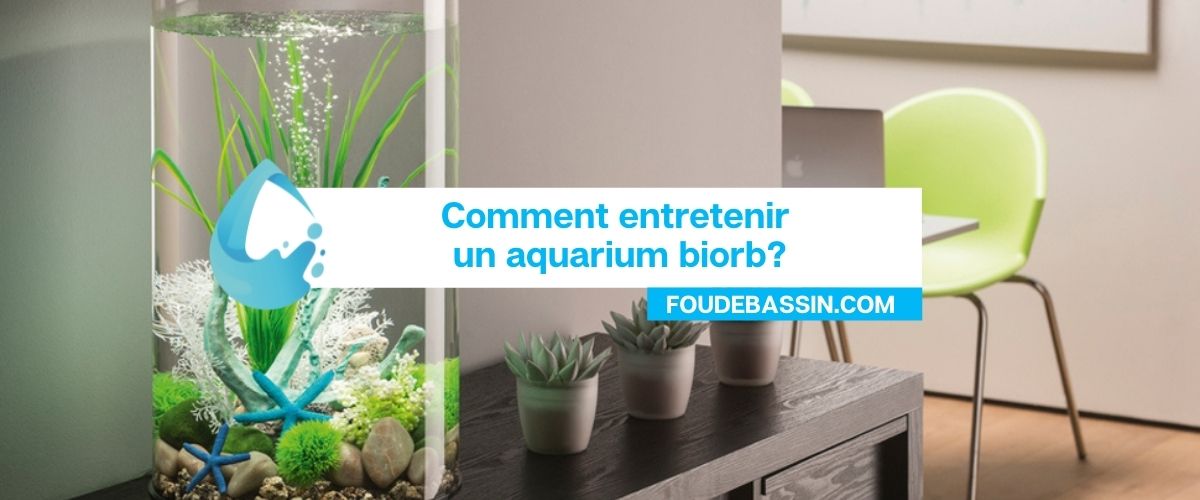 Comment entretenir un aquarium biorb?