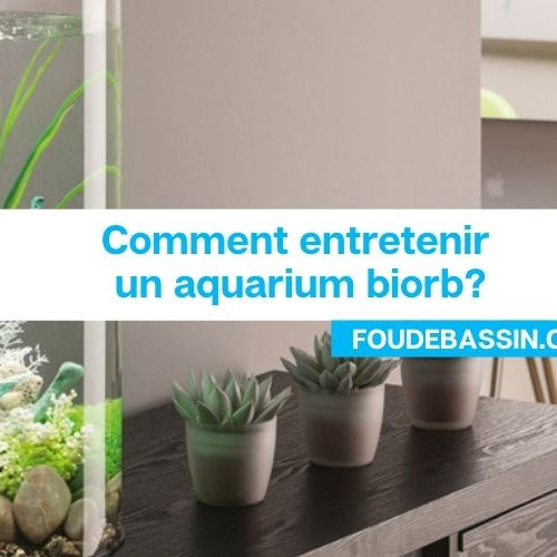 Comment entretenir un aquarium biorb?