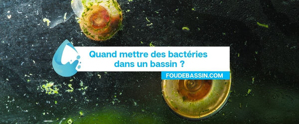 Quand mettre des bactéries dans un bassin ?