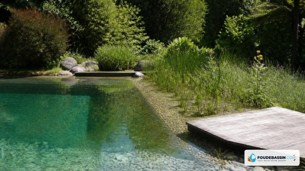 Filtration biologique pour piscine : lagunage, filtre technique ou système mixte, comment choisir