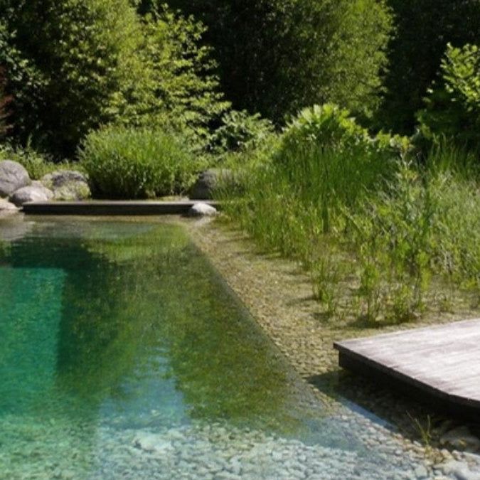 Piscine biologique et sa zone de régénération plantée – Foudebassin