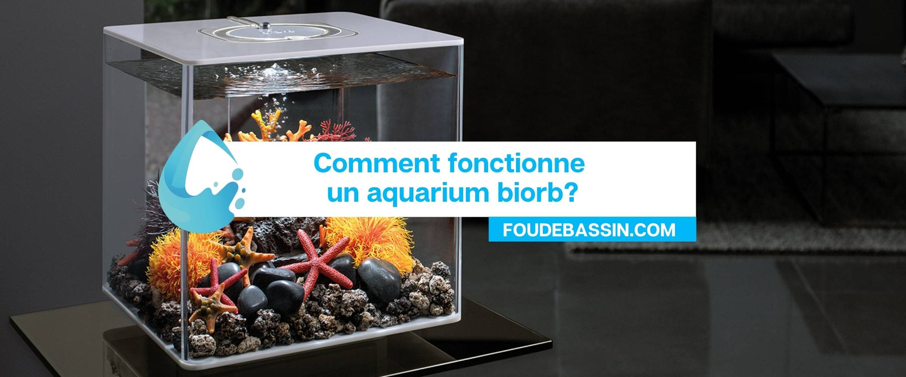 Comment fonctionne un aquarium biorb?